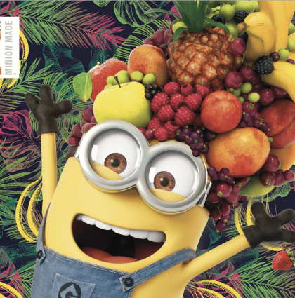 DMF FAST FASHION AND SEASONAL DESIGN GUIDES